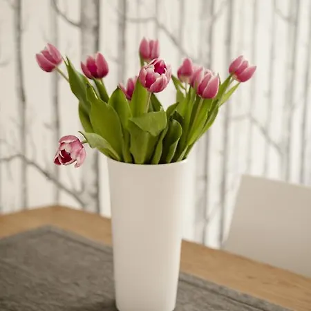 Apartman Design In Der Leipziger Sudvorstadt Lipcse